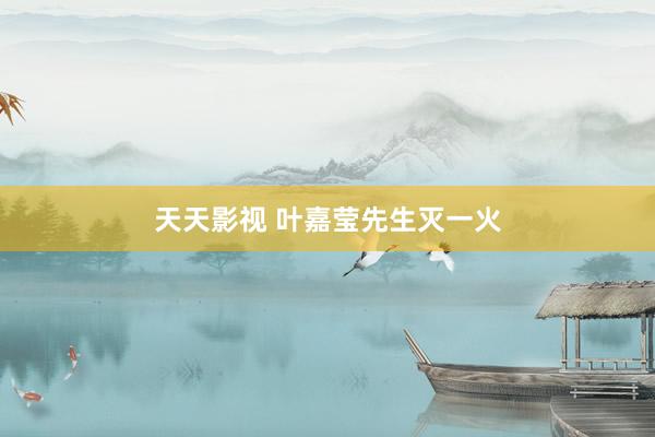 天天影视 叶嘉莹先生灭一火