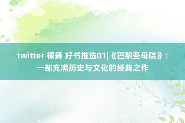 twitter 裸舞 好书推选01|《巴黎圣母院》：一部充满历史与文化的经典之作