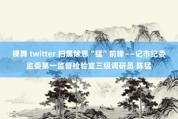 裸舞 twitter 扫黑除恶“猛”前锋——记市纪委监委第一监督检验室三级调研员 陈猛