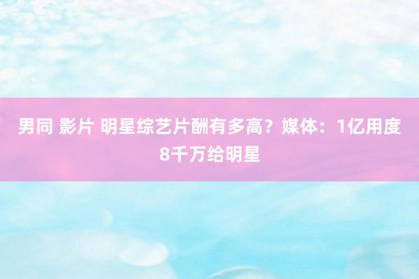 男同 影片 明星综艺片酬有多高？媒体：1亿用度8千万给明星