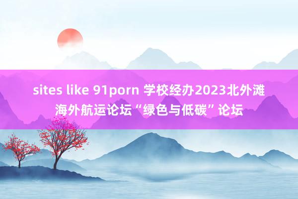sites like 91porn 学校经办2023北外滩海外航运论坛“绿色与低碳”论坛