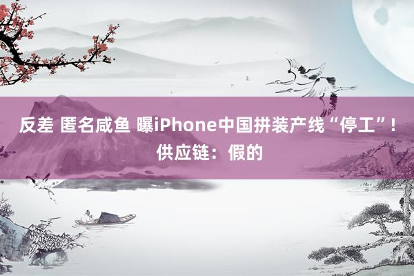 反差 匿名咸鱼 曝iPhone中国拼装产线“停工”! 供应链：假的