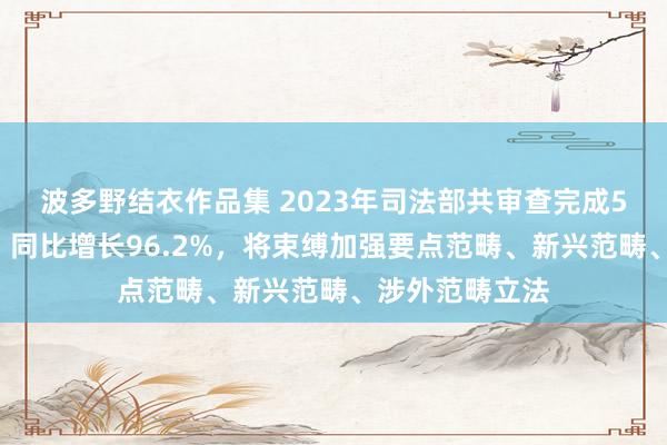 波多野结衣作品集 2023年司法部共审查完成51件立法技俩，同比增长96.2%，将束缚加强要点范畴、新兴范畴、涉外范畴立法
