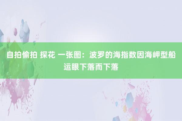 自拍偷拍 探花 一张图：波罗的海指数因海岬型船运眼下落而下落