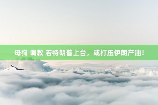 母狗 调教 若特朗普上台，或打压伊朗产油！