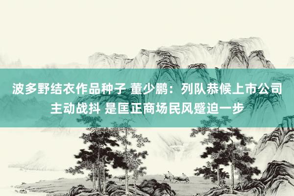 波多野结衣作品种子 董少鹏：列队恭候上市公司主动战抖 是匡正商场民风蹙迫一步