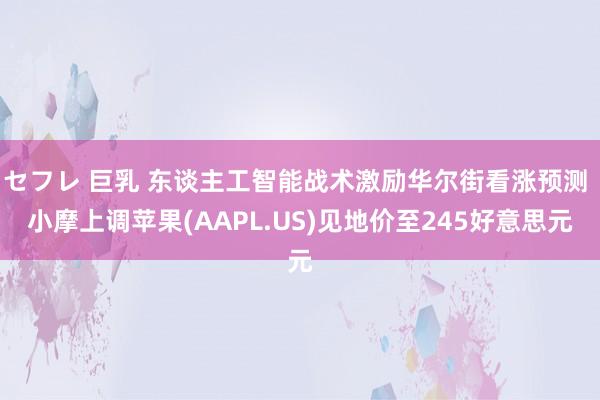 セフレ 巨乳 东谈主工智能战术激励华尔街看涨预测 小摩上调苹果(AAPL.US)见地价至245好意思元