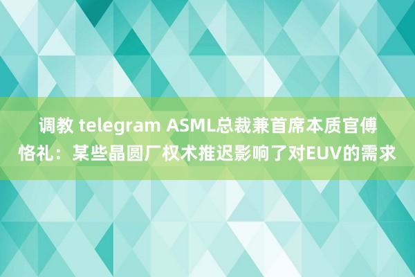 调教 telegram ASML总裁兼首席本质官傅恪礼：某些晶圆厂权术推迟影响了对EUV的需求