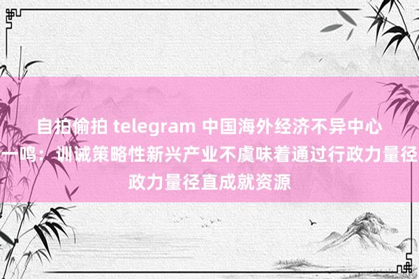 自拍偷拍 telegram 中国海外经济不异中心副理事长王一鸣：训诫策略性新兴产业不虞味着通过行政力量径直成就资源