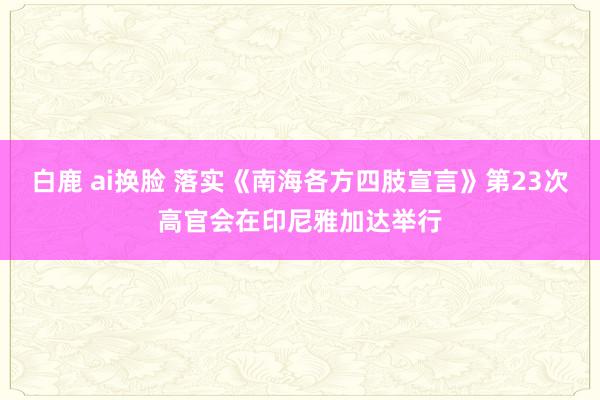 白鹿 ai换脸 落实《南海各方四肢宣言》第23次高官会在印尼雅加达举行